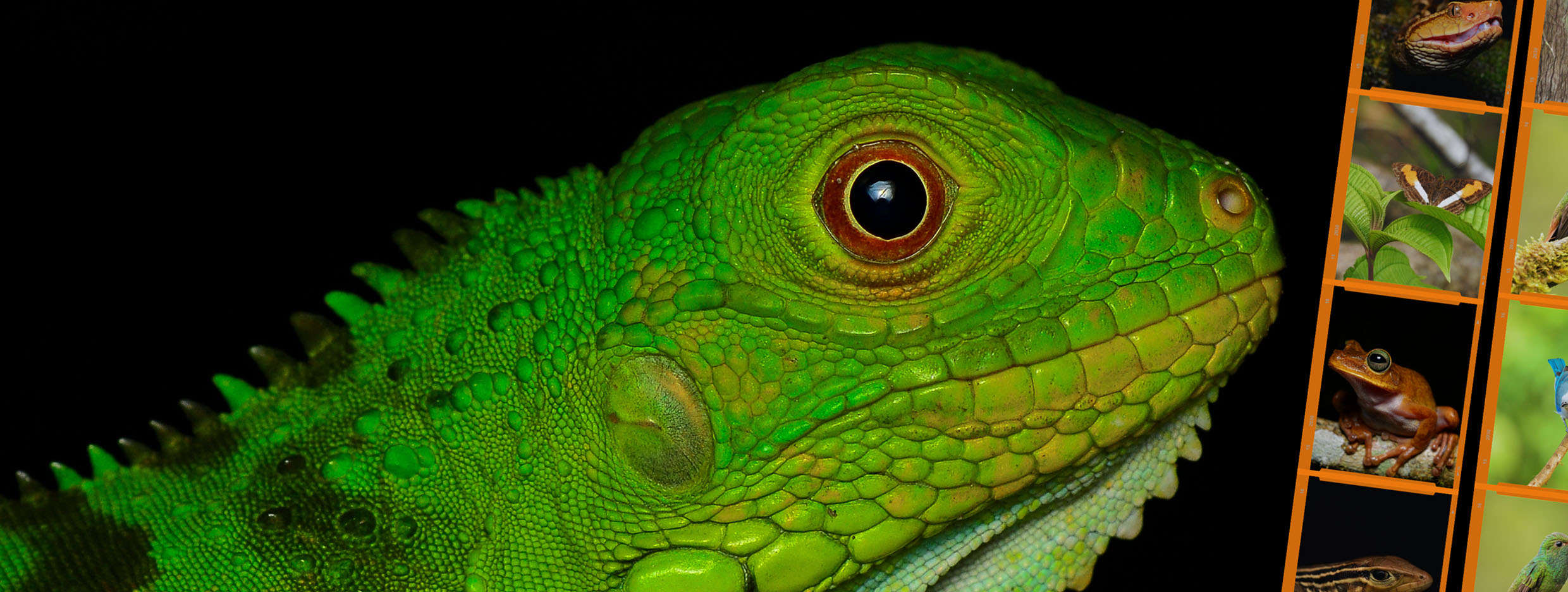 Biodiversidad, Conservación y Valor