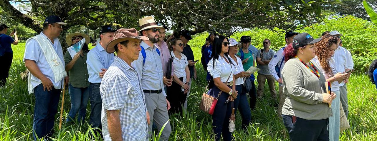 Fortalecimiento de cadenas lácteas en Caquetá