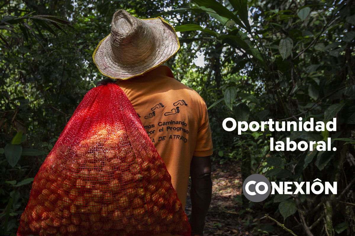 FACILITADOR PARA CAPACITACIÓN EN HABILIDADES SOCIOEMOCIONALES, GÉNERO E INCIDENCIA POLÍTICA